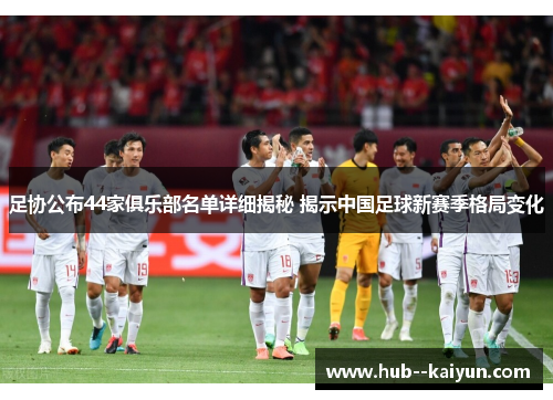足协公布44家俱乐部名单详细揭秘 揭示中国足球新赛季格局变化
