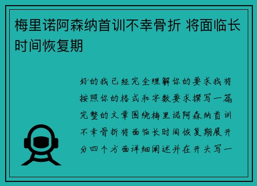 梅里诺阿森纳首训不幸骨折 将面临长时间恢复期